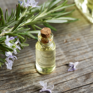 Rosemary Oil