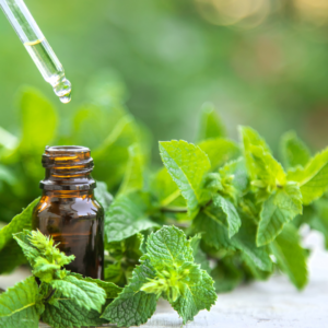 Spearmint Oil